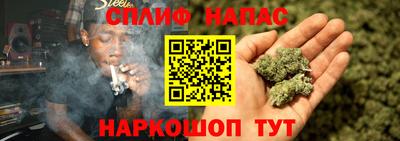 наркотики Сланцы